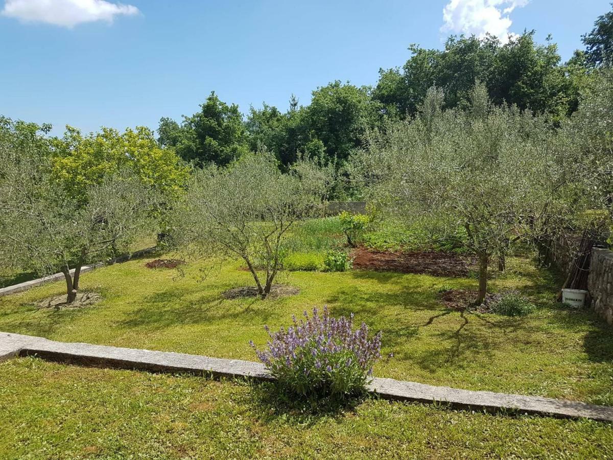 Apartmani Mariela لابين المظهر الخارجي الصورة